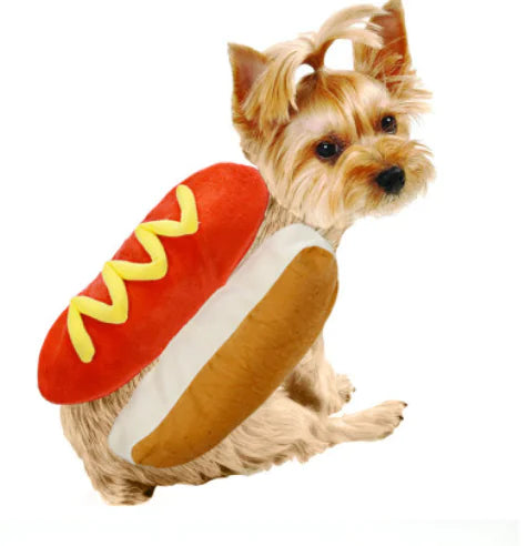 Pet Clothing Hot Dog Burger for Cats and Dogs