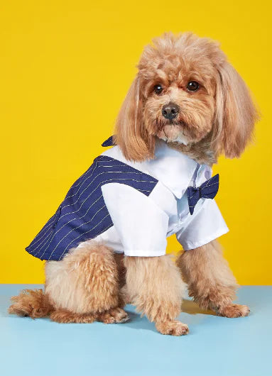 Simple Fashionable Pet Dog Shirt Suit