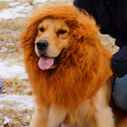 Pet Wig - Lion Head Costume for Dogs